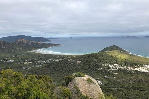 Wilsons Promontory Walking And Sightseeing Tour From Phillip Island - Darwin Holiday 12