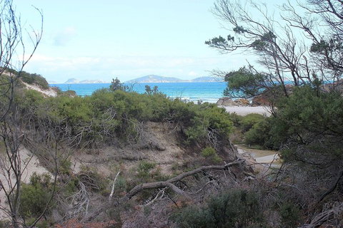Wilsons Promontory Walking And Sightseeing Tour From Phillip Island - Darwin Holiday 14