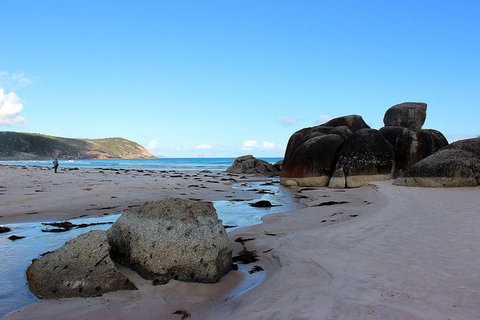 Wilsons Promontory Walking And Sightseeing Tour From Phillip Island - Darwin Holiday 10