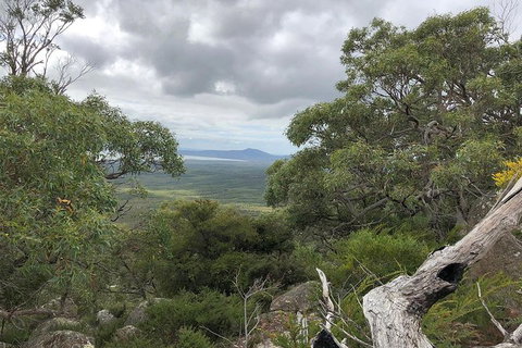Wilsons Promontory Walking And Sightseeing Tour From Phillip Island - Darwin Holiday 13