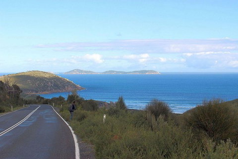 Wilsons Promontory Walking And Sightseeing Tour From Phillip Island - Darwin Holiday 2