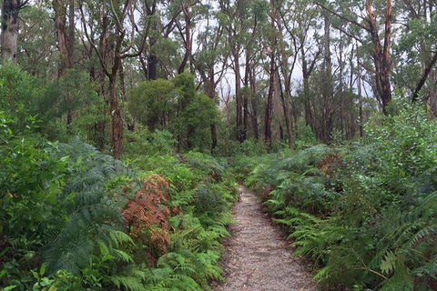 Wilsons Promontory Walking And Sightseeing Tour From Phillip Island - Darwin Holiday 6
