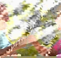 Regional Tastes - Wine  Beer Tour - Darwin Holiday