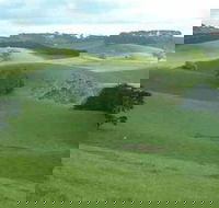 Day Tour of Phillip Island  Surrounding Region - Darwin Holiday