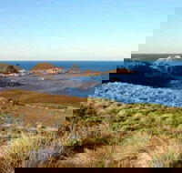 Phillip Island Walking  Bird Watching Tour - Darwin Holiday