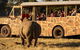 Sunset Safari At Werribee Open Range Zoo - thumb 3