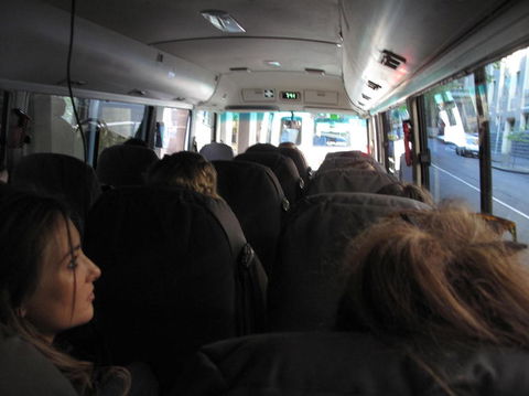 Phillip Island Penguin Parade Day Trip With Koala Park - Darwin Holiday 2