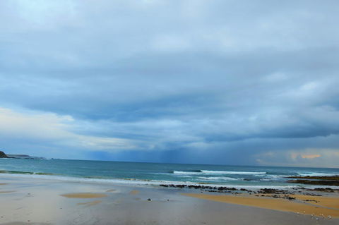 Phillip Island Penguin Parade Day Trip With Koala Park - Darwin Holiday 3