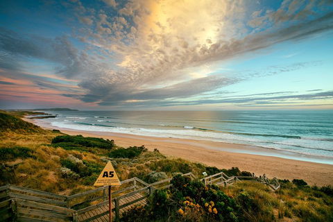 Phillip Island Penguin Parade Day Trip With Koala Park - Darwin Holiday 12