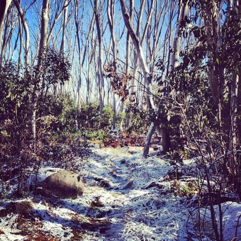 Melbourne Snow Trip To Lake Mountain Resort With Chocolates And Waterfalls - Darwin Holiday 12