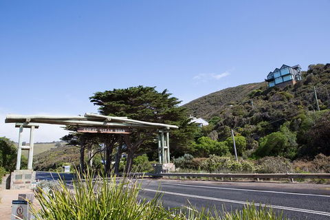 Private Great Ocean Road - The Ultimate Aussie Adventure - Darwin Holiday 5