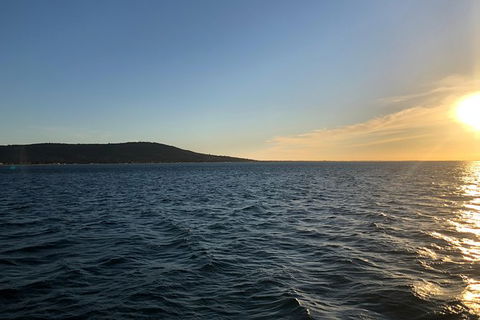 Mornington Peninsula Tour Inc Chairlift,beach Boxes,lunch,choc Tasting And More - Darwin Holiday 9