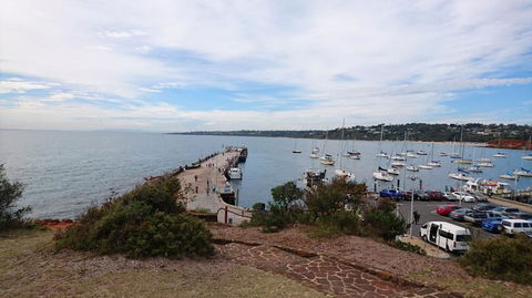 Boutique Journey To Phillip Island With Penguin Parade In Stylish Mercedes-Benz - Darwin Holiday 6