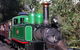 Private Tour: Healesville Sanctuary Wildlife & Puffing Billy Steam Train - thumb 1
