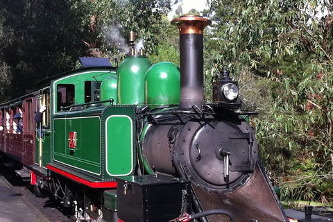 Private Tour: Healesville Sanctuary Wildlife & Puffing Billy Steam Train - Darwin Holiday 1