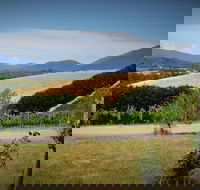 Romantic Private Yarra Valley Day Trip for Two from Melbourne - Darwin Holiday