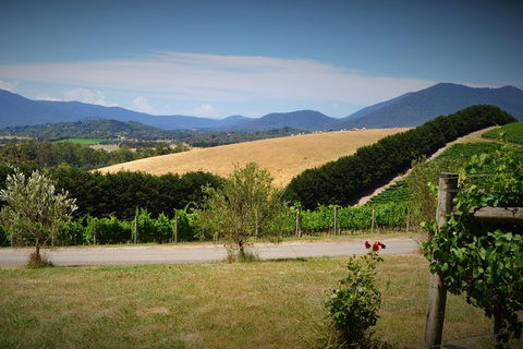 Romantic Private Yarra Valley Day Trip For Two From Melbourne - Darwin Holiday 0