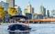 2-Hour Self-Drive Boat Hire On The Yarra River - thumb 2