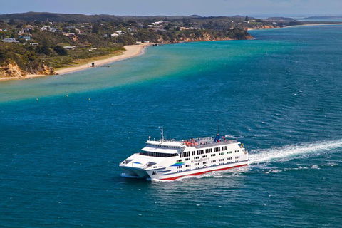 2-Day Great Ocean Road, Mornington Peninsula And Phillip Island Tour - Darwin Holiday 18