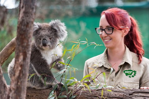 2-Day Phillip Island And Wilsons Promontory Tour From Melbourne - Darwin Holiday 0