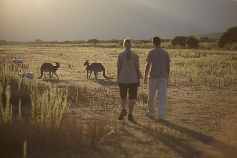 2-Day Phillip Island And Wilsons Promontory Tour From Melbourne - Darwin Holiday 5