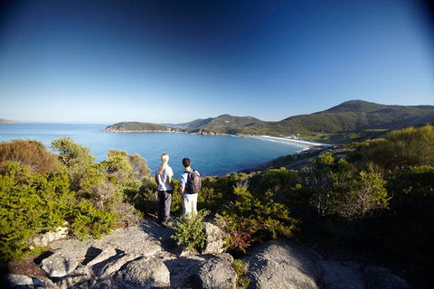 2-Day Phillip Island And Wilsons Promontory Tour From Melbourne - Darwin Holiday 4