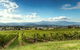 Yarra Valley Icons Guns Tour From Melbourne Including Lunch And Local Guide - thumb 1