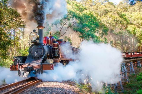 Puffing Billy And Mount Dandenong Private Tour - Darwin Holiday 0