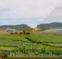 Private Tour to Mount Dandenong and Yarra Valley - Darwin Holiday