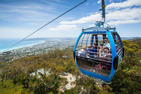 Mornington Peninsula Sightseeing And Bay Cruise - Darwin Holiday 1