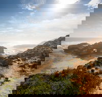 Mornington Peninsula Sightseeing and Bay Cruise - Darwin Holiday