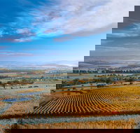 Half Day Yarra Valley Winery Day Trip from Melbourne - Darwin Holiday