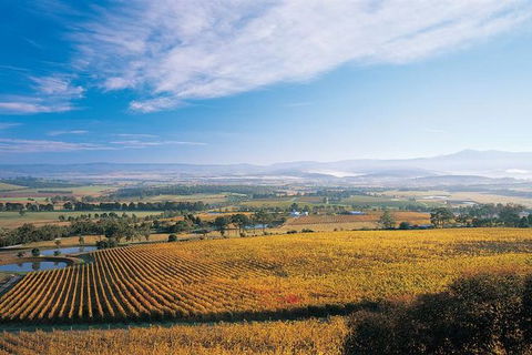 Melbourne City Tour And Half Day Yarra Valley In One Day - Darwin Holiday 5