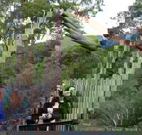 Yarra Valley Wildlife Express Private Tour - Darwin Holiday