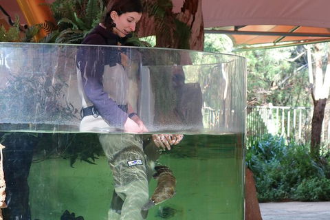 Yarra Valley Wildlife Express (Private Tour) - Darwin Holiday 1