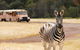 Werribee Open Range Zoo General Admission Ticket - thumb 1