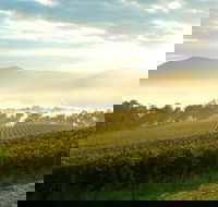 Yarra Valley Private Tour including Healesville Sanctuary and Wineries - Darwin Holiday