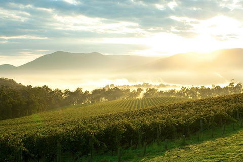 Yarra Valley Private Tour Including Healesville Sanctuary And Wineries - Darwin Holiday 0