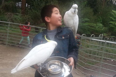 1-Day Custom Private Tour From Melbourne - Darwin Holiday 1