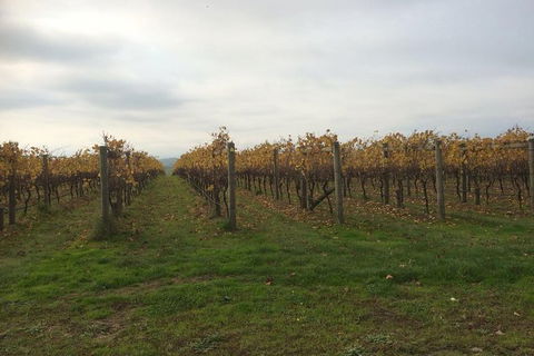 Customized Private Winery Day Tour In Mornington Peninsula At Your Own Choices - Darwin Holiday 1