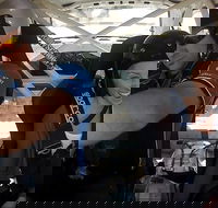 Victoria Rally School Hotlap Ride in a Rally Car 3 Laps - Darwin Holiday