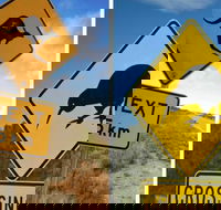 Aroha Tangata Australia and New Zealand 20 day - Darwin Holiday