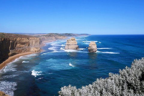 Melbourne Super Saver: Great Ocean Road + Wilsons Promontory + Attraction Pass - Darwin Holiday 8