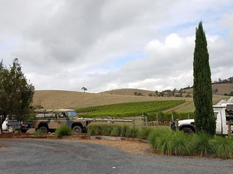 Private Tour: Yarra Valley Wineries With Wine Tastings - Darwin Holiday 3