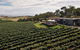 Private Tour: Yarra Valley Wineries With Wine Tastings - thumb 9