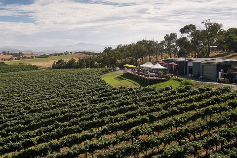 Private Tour: Yarra Valley Wineries With Wine Tastings - Darwin Holiday 9