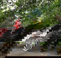 Melbourne Horse Drawn Carriage Garden Highlights Tour - Darwin Holiday