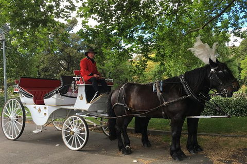Melbourne Horse Drawn Carriage Garden Highlights Tourâ„¢ - Darwin Holiday 0