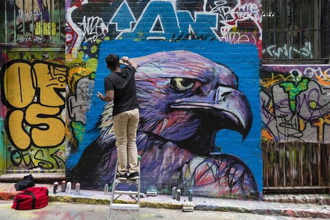 Personalised Half Day With A Local In Melbourne - Darwin Holiday 6