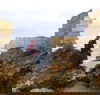 3-Day Small-Group Great Ocean Road and Australian Wildlife Tour from Melbourne - Darwin Holiday